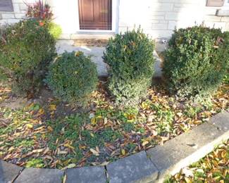 See prices & more info, copy & paste link below:
https://beforeudemo.com/sales-event/elmhurst-whole-house-demolition-sale/