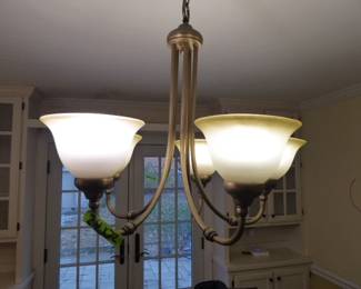 See prices & more info, copy & paste link below:
https://beforeudemo.com/sales-event/elmhurst-whole-house-demolition-sale/