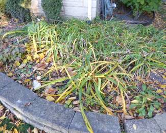 See prices & more info, copy & paste link below:
https://beforeudemo.com/sales-event/elmhurst-whole-house-demolition-sale/