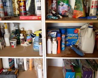 Cleaning supplies, pest control, and household repair