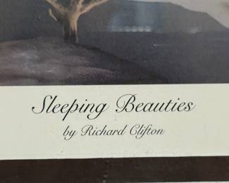Sleeping Beauties by Richard Clifton