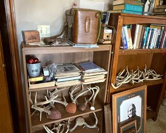 Book shelves - antlers
