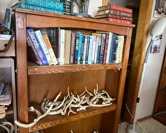 Book shelves       Antlers