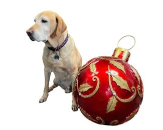 Monumental outdoor lighted ornament