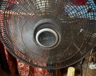 Fan