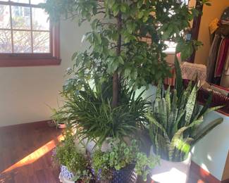 Estate Sales By Olga in Cranford, NJ