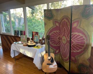 Guitar & Uklele Collection