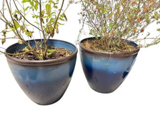 Two Fiberglass Planters