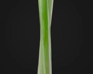 Green And White Vase