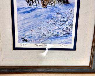 Northern Lights by D. Totten