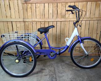 Schwinn Adult Tricycle 