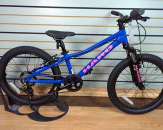 Haro Flightline 20" Kids Bike