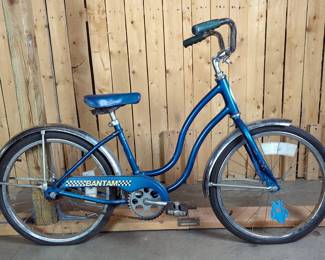 Vintage Schwinn Bantam Bicycle