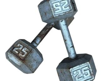 25lb Iron Weight Dumbbells