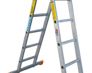 KRAUS 12ft Adjustable Ladder
