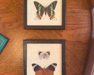 Square Butterflies
