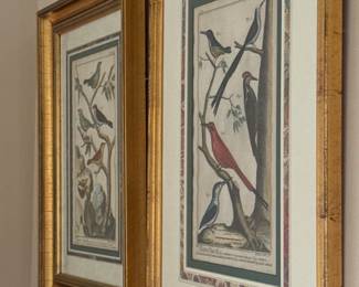 5Nov 18 2025 02 05pmghMG