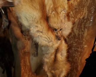 3rd mink Pelt/stole
