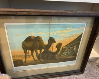 Camel artwork