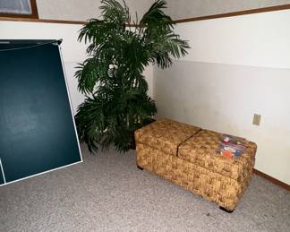 Large indoor plants in planters, billboard and ping pong tables, wicker seating that has storage inside 
