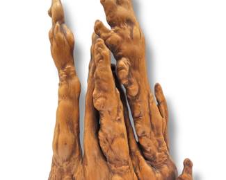 Mid Century Cypress Knee Wood Sculpture
