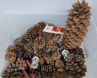 	16´´ Tall Pine Cone & More