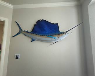 Tropy mounted Sailfish in beautiful condition