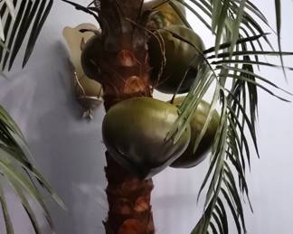 40 and 41Coconuts $200