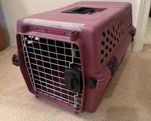 Pet Porter Plastic Medium Pet Carrier - Airline Approved Ventilated