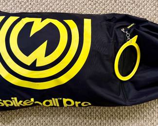 Spikeball Pro Game