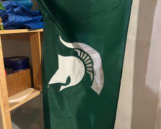 MSU flag