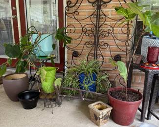 Plants, pots, garden items