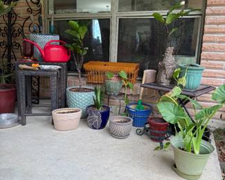 Plants, pots, garden items