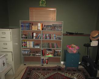 shelving, DVDs & CDs