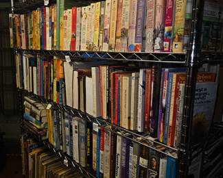 Books in abundance (one of 6 shelves pictured)