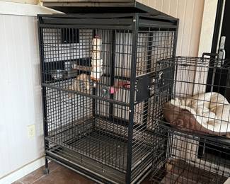 Large birdcage
