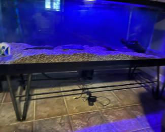125 gallon aquarium, complete.