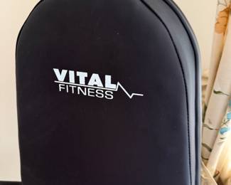Vital Fitness recumbent bike