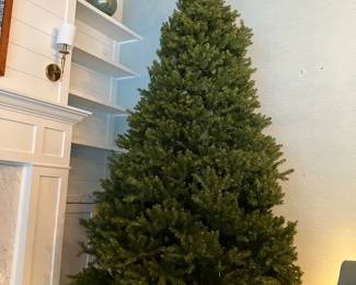 10 feet tall with stand