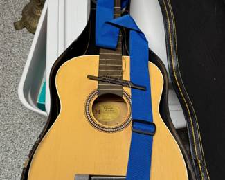 Classic guitar & case (needs repair)