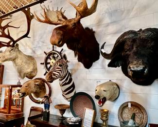 Assorted Vintage Mounts