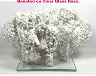 Lot 249 Faux composite Coral Piece. Mounted on Clear Glass Base.