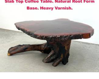 Lot 250 Natural Organic Live Edge Wood Slab Top Coffee Table. Natural Root Form Base. Heavy Varnish.