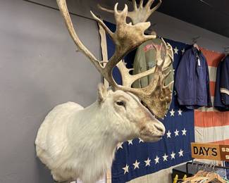Trophy Perry Caribou