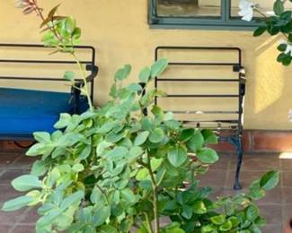 Patio furniture, Wroght Iron