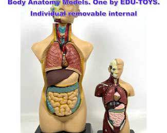 Lot 1050 2pc Educational Classroom Human Body Anatomy Models. One by EDUTOYS. Individual removable internal 