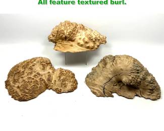 Lot 1424 3pc Woodworker Mallee Burl Caps. All feature textured burl. 