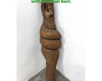 Lot 1548 Sculptural Natural Tree LimbTrunk with unusual burl. 