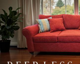 Sofa Sleeper LIKE NEW bid #37. DELIVERY is INCLUDED with FULL PRICE PURCHASE