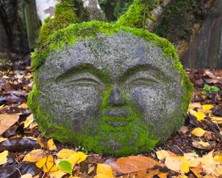 "Stone Faced" bid #43